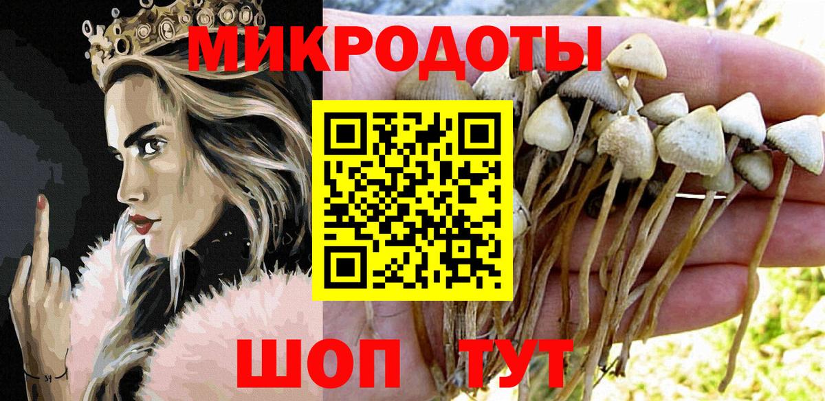 Галлюциногенные грибы ЛСД  Псилоцибиновые грибы мухоморы  Вход с VPN  Сызрань 